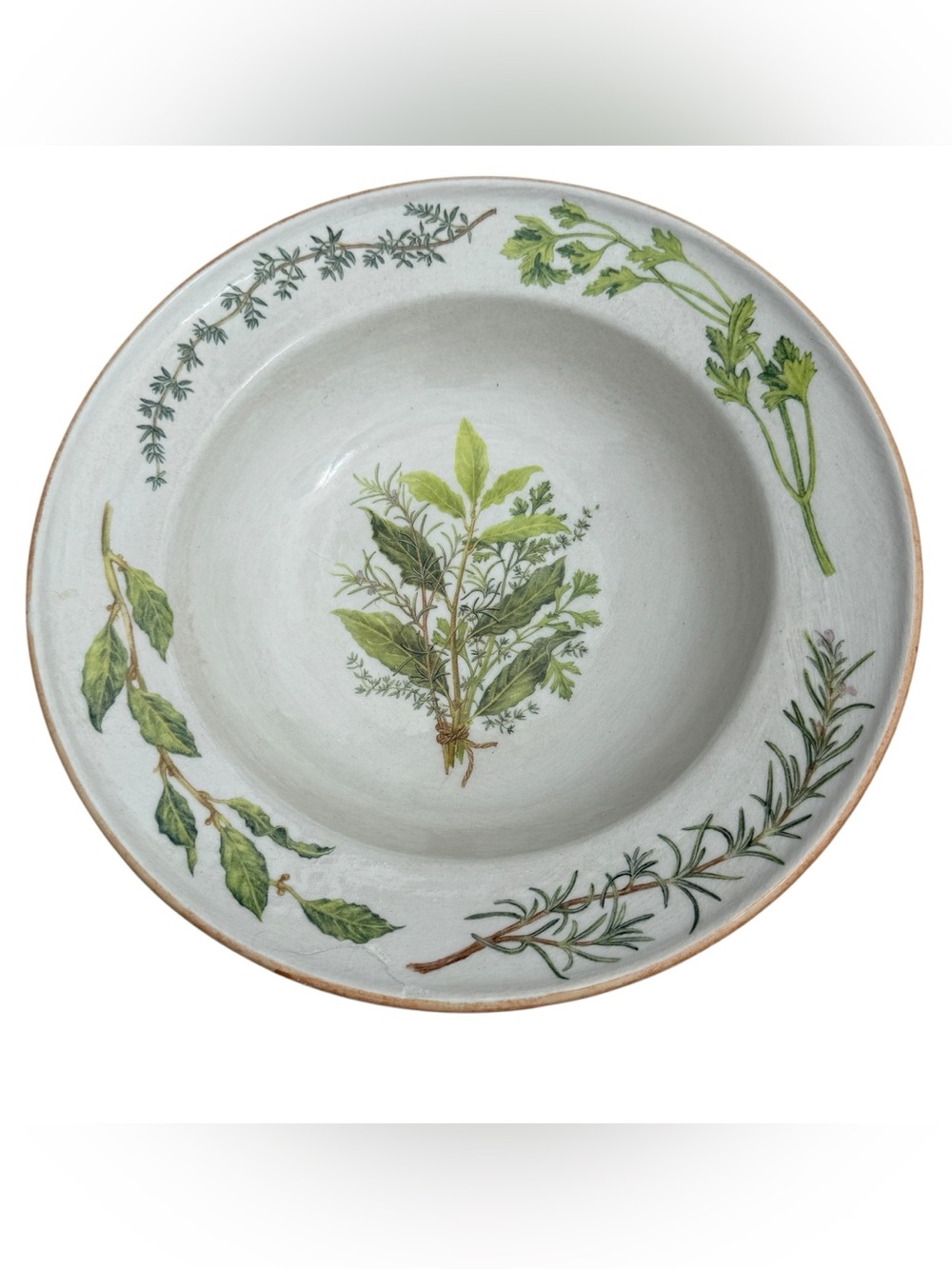 Vintage Williams Sonoma Italy Herb 15” Serving Pasta Bowl Discontinued RARE
